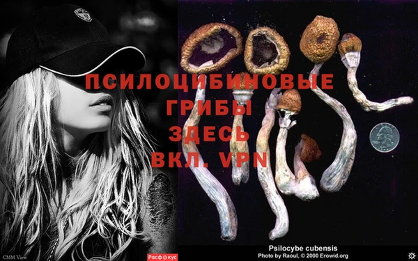 спиды Заволжск