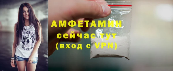 индика Елизово
