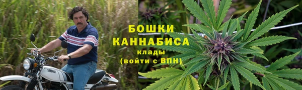 СК Заводоуковск