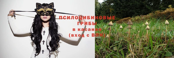 СК Заводоуковск